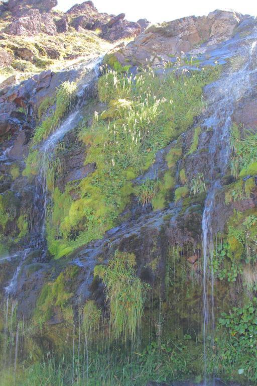 Bed and Breakfast Tongariro Adventures Kuratau Exterior foto