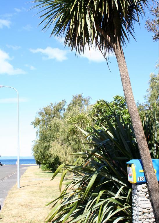 Bed and Breakfast Tongariro Adventures Kuratau Exterior foto